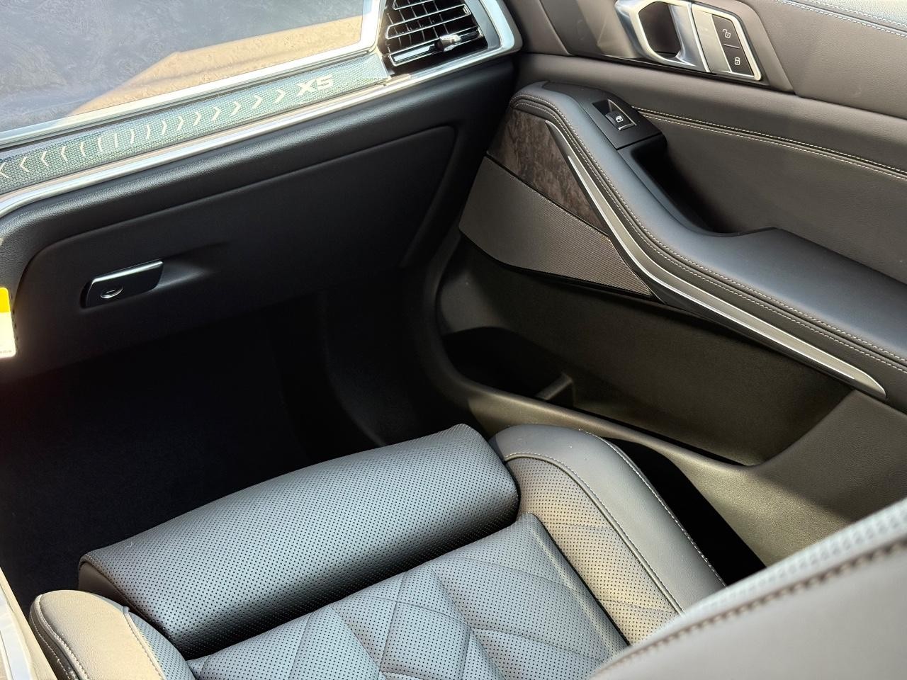 BMW X5 Vehicle Image 10