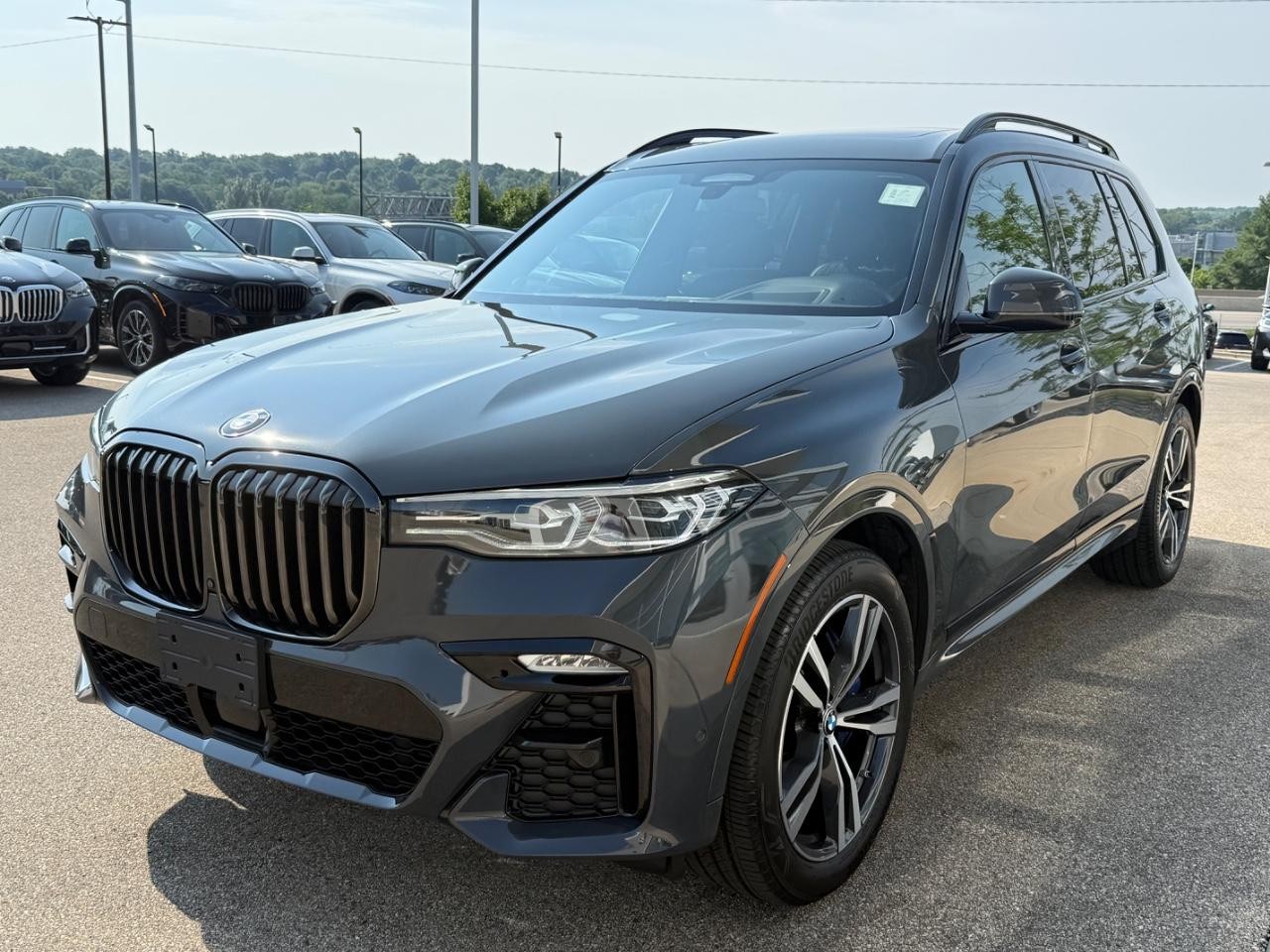 BMW X7 Vehicle Image 08