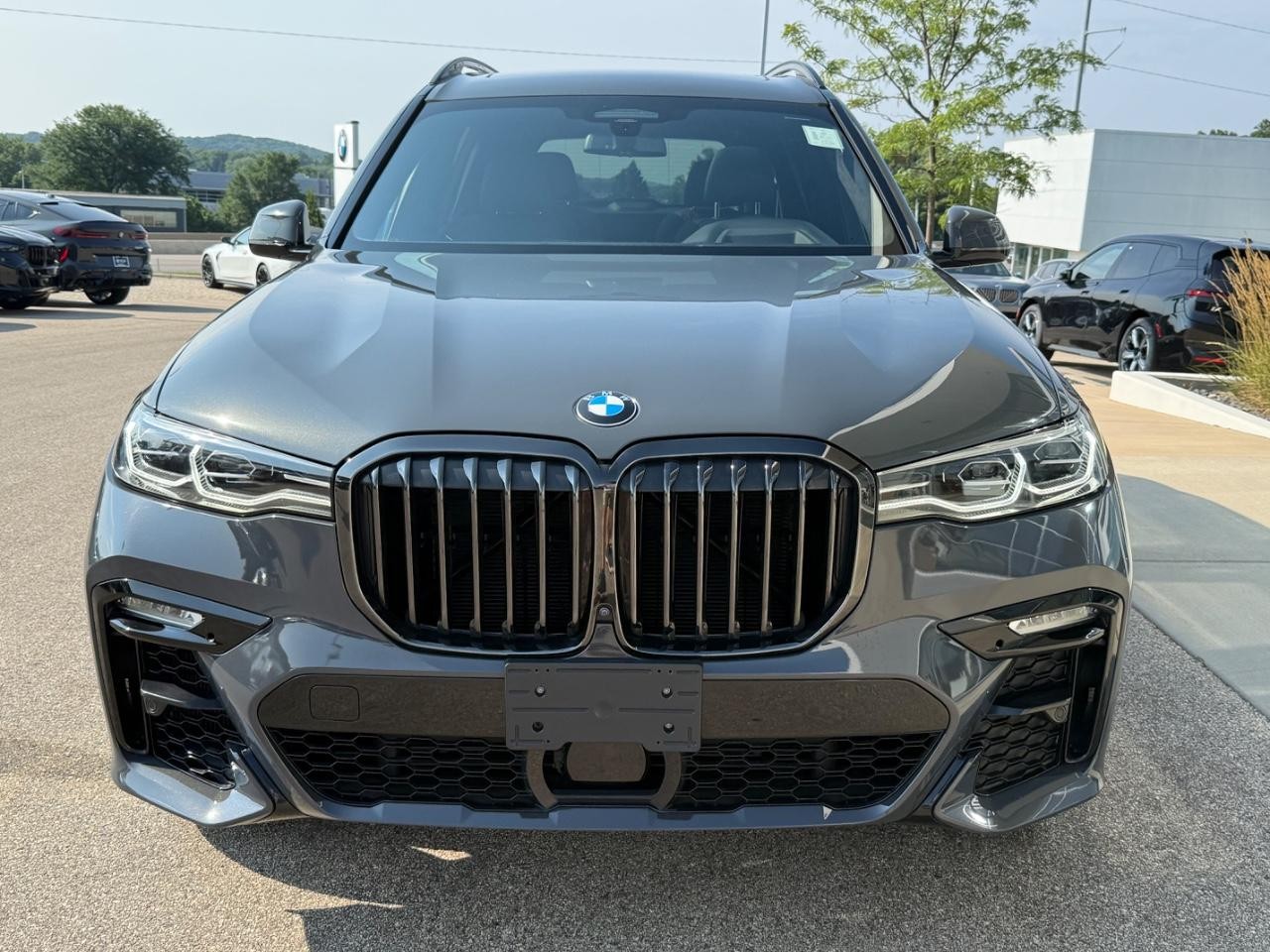 BMW X7 Vehicle Image 09