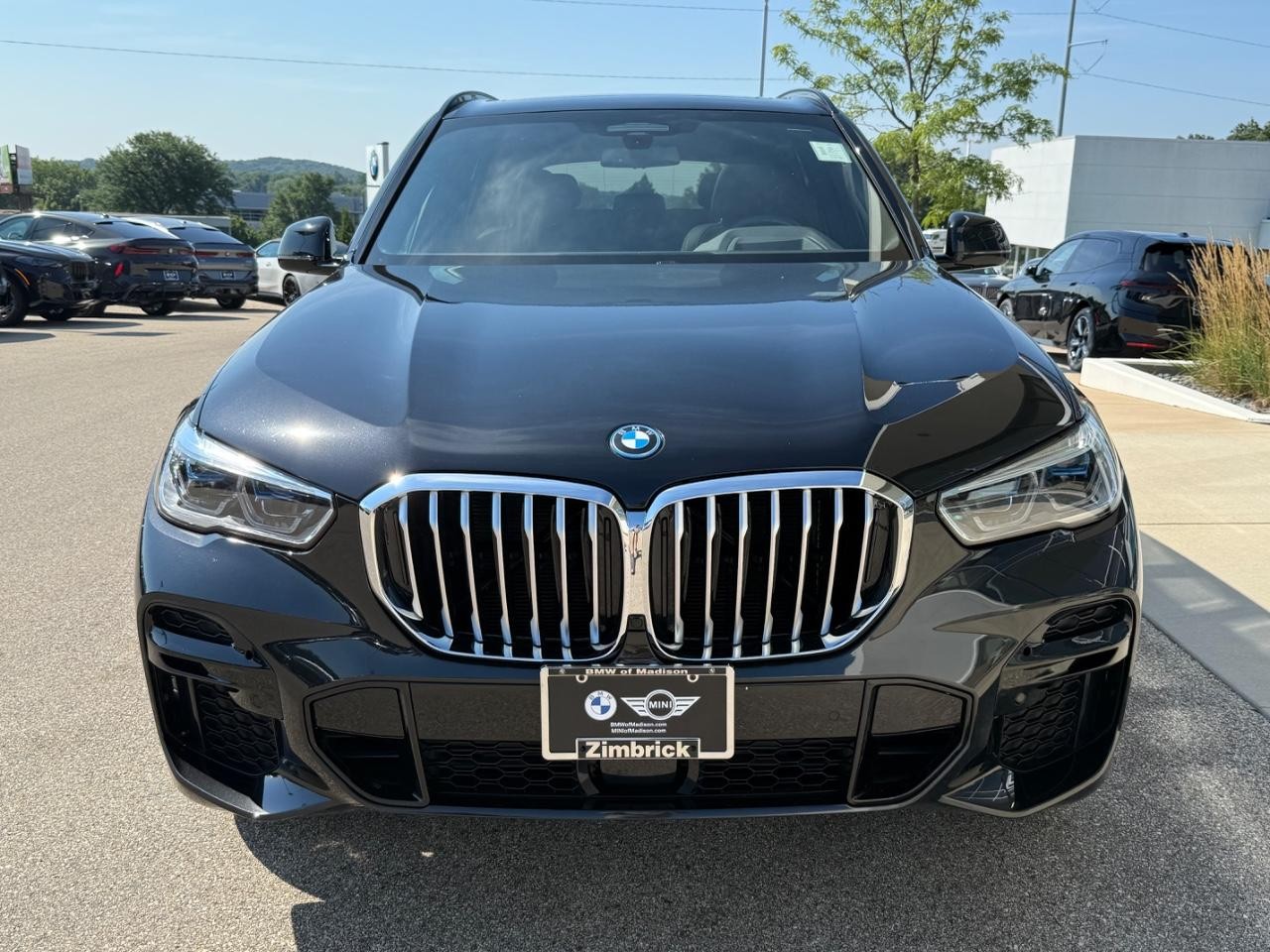 BMW X5 Vehicle Image 08