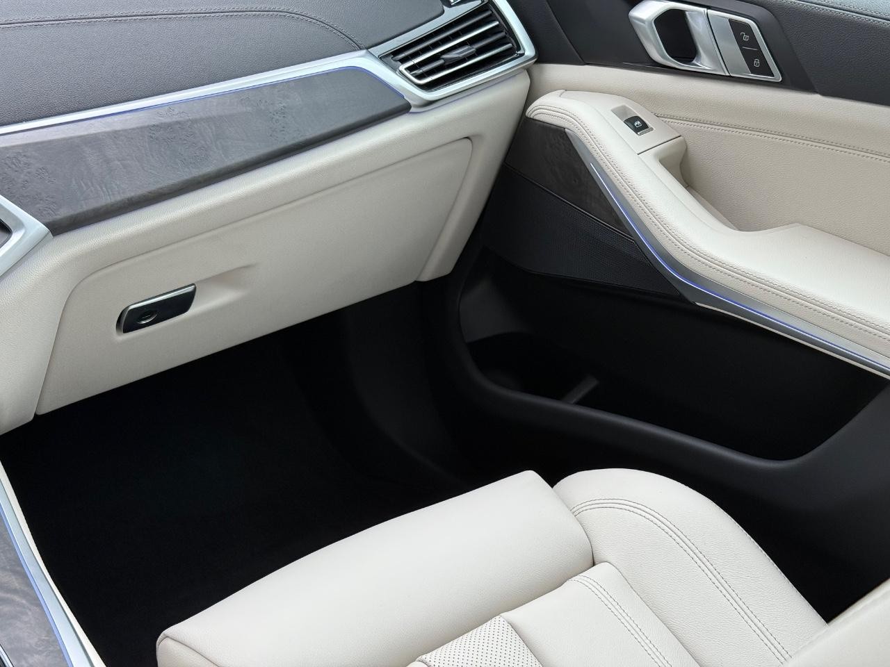 BMW X5 Vehicle Image 10