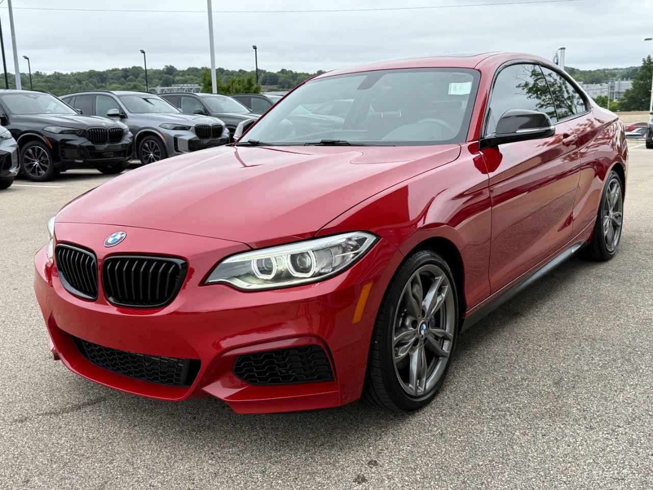 BMW 2 Series Vehicle Image 07