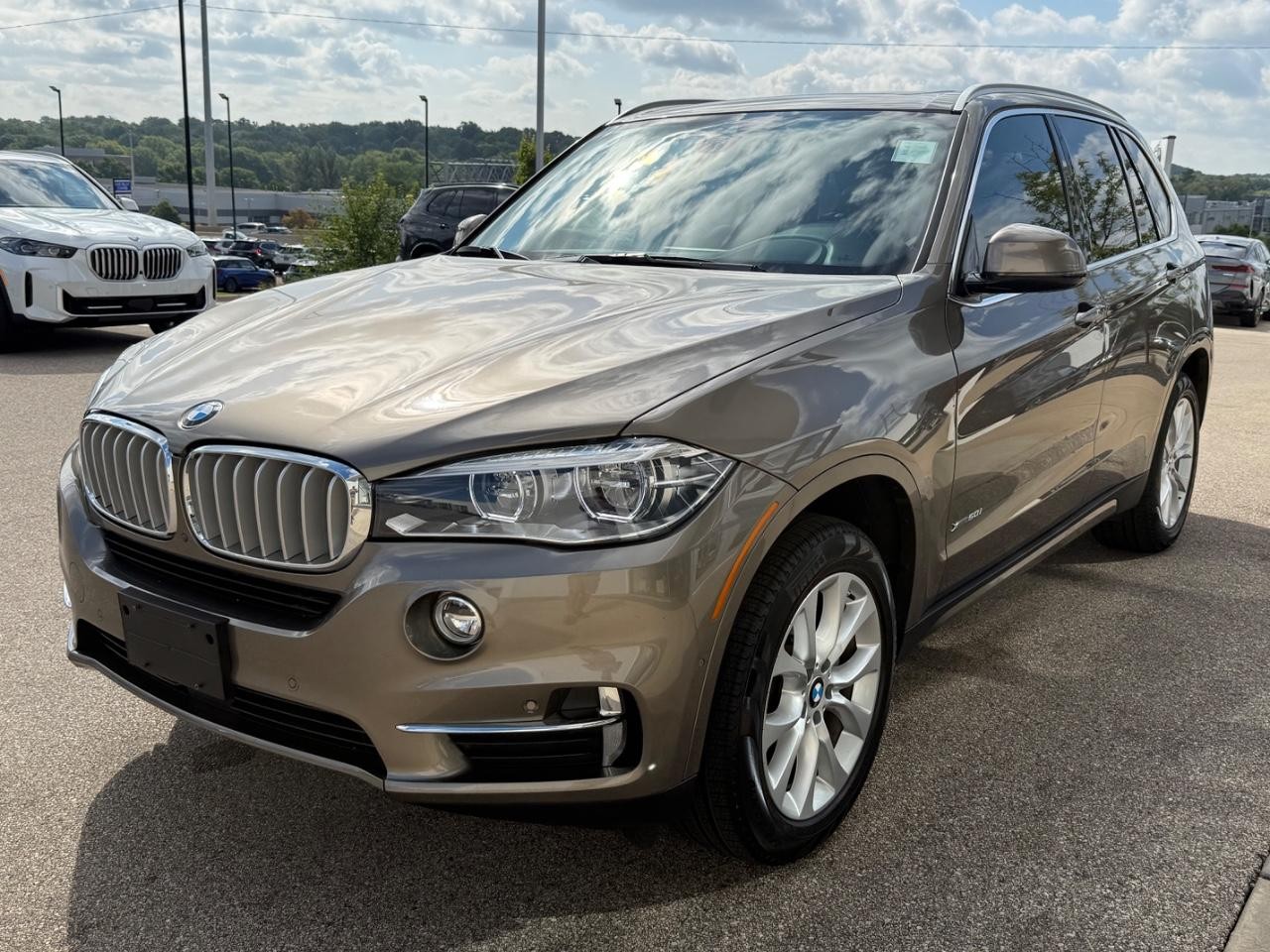 BMW X5 Vehicle Image 08