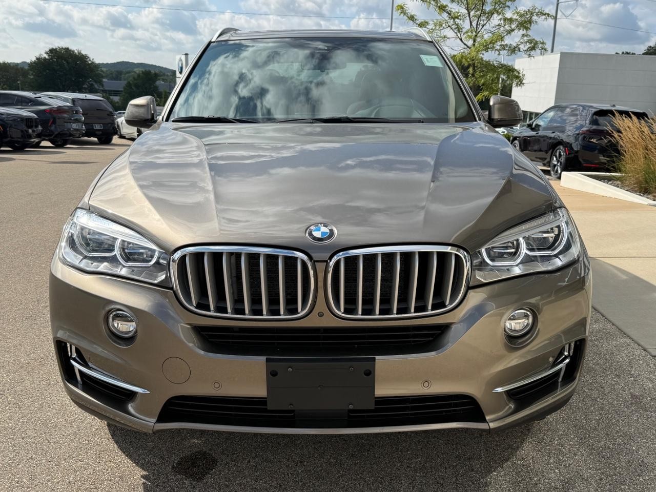 BMW X5 Vehicle Image 09