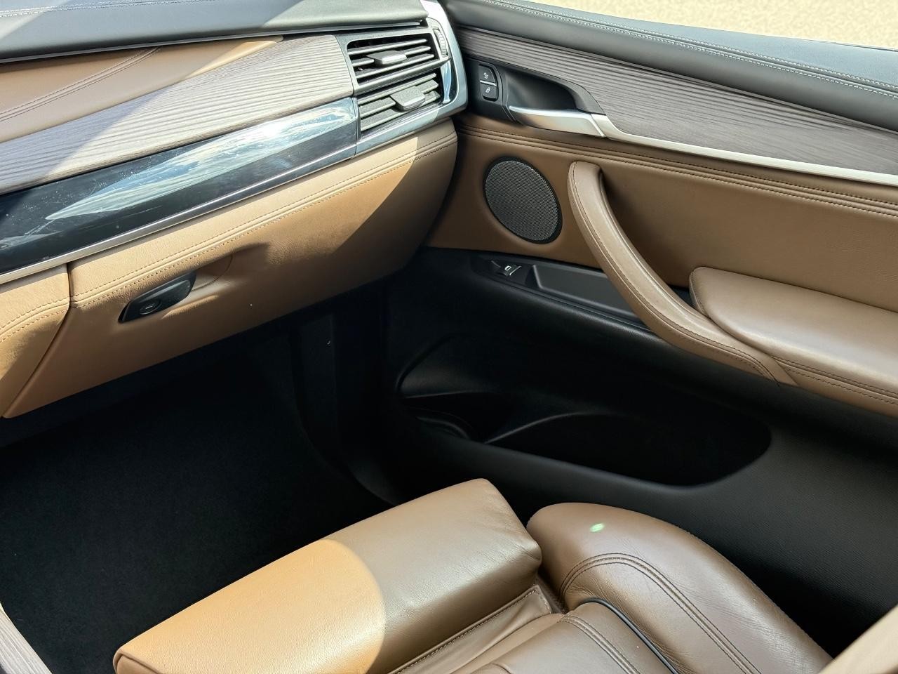 BMW X5 Vehicle Image 15