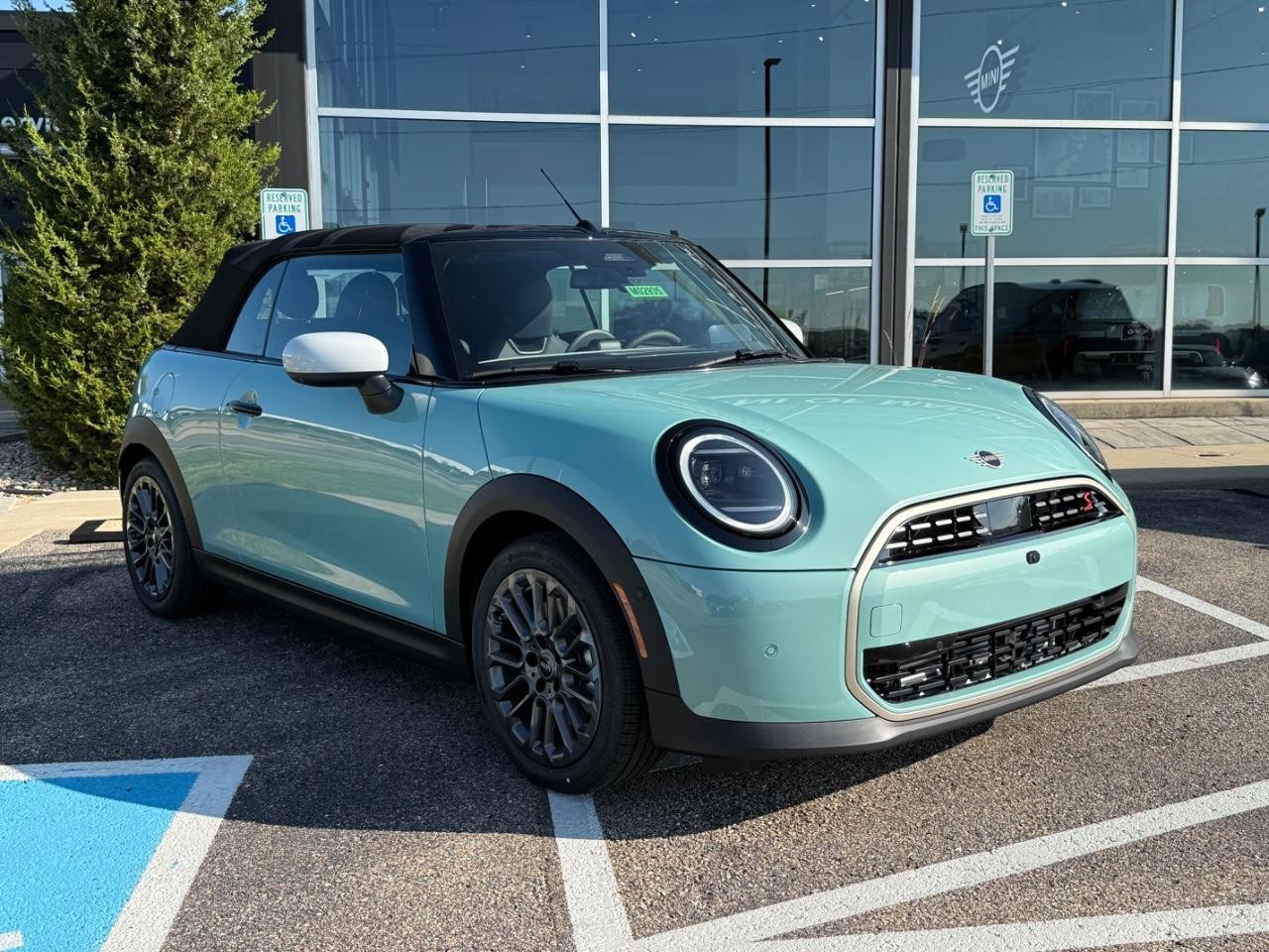 MINI Convertible Vehicle Image 05