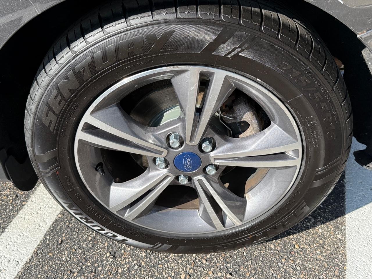 Ford Focus Vehicle Image 06