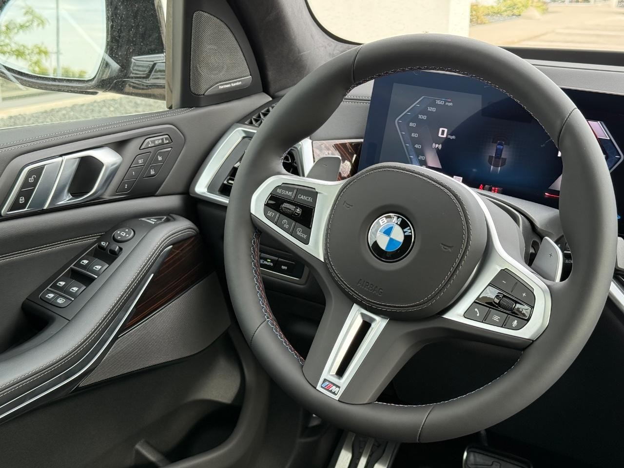 BMW X7 Vehicle Image 09