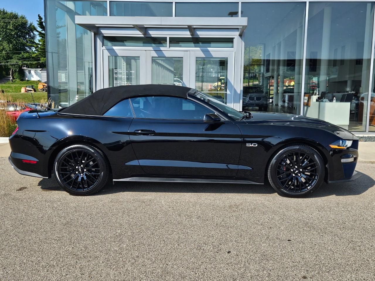 Ford Mustang Vehicle Image 05