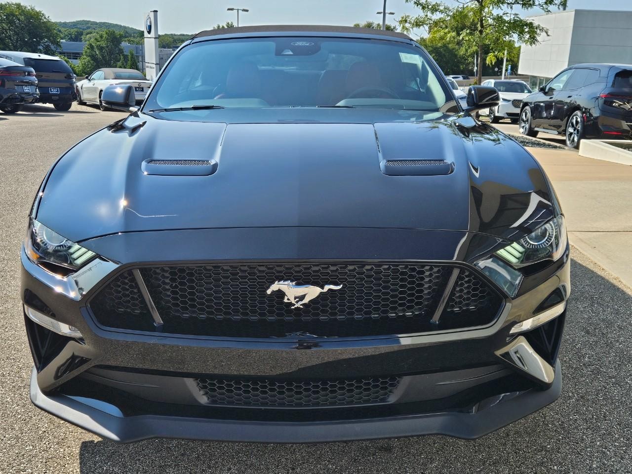 Ford Mustang Vehicle Image 08