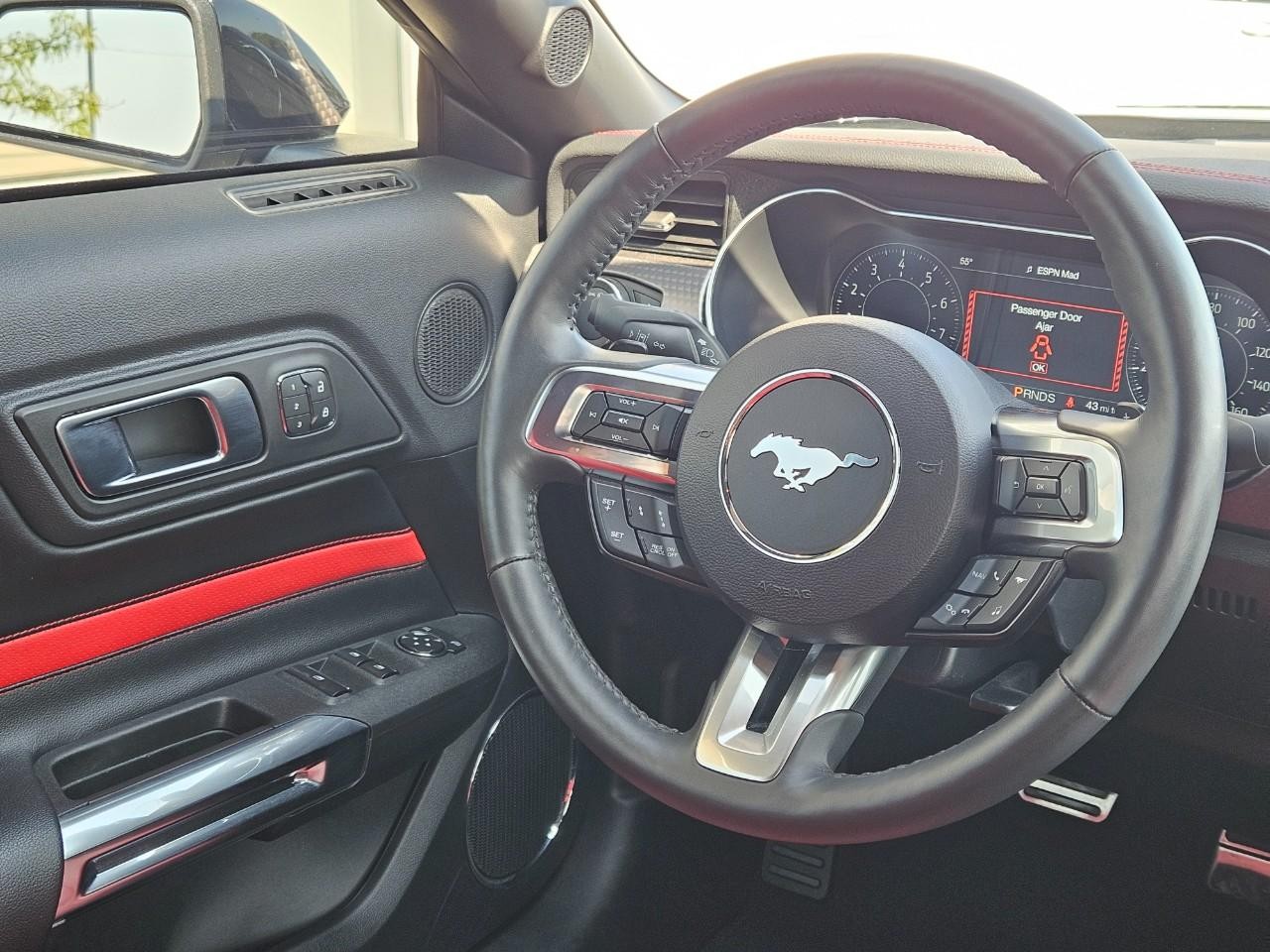 Ford Mustang Vehicle Image 13