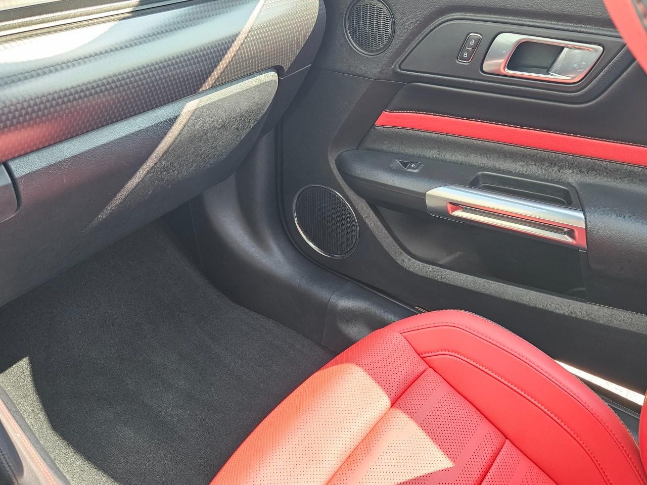 Ford Mustang Vehicle Image 14