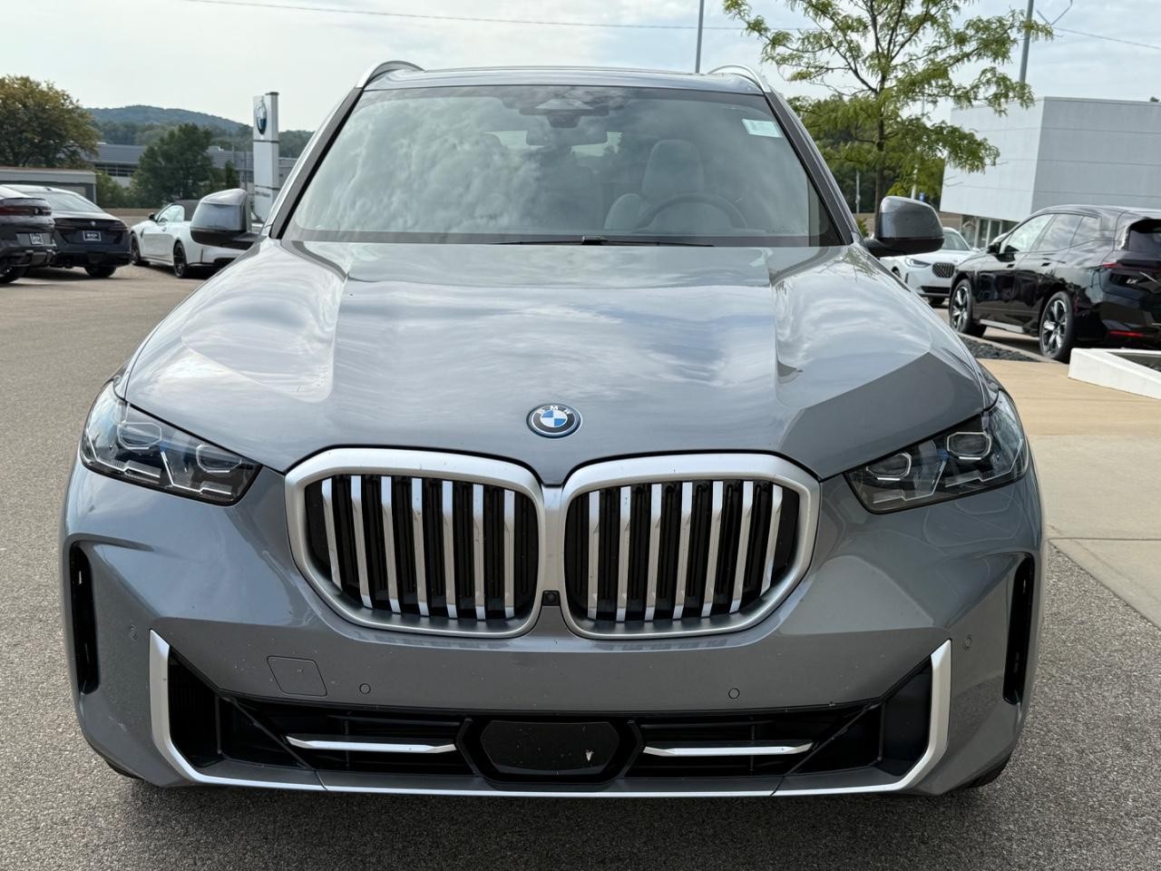BMW X5 Vehicle Image 08