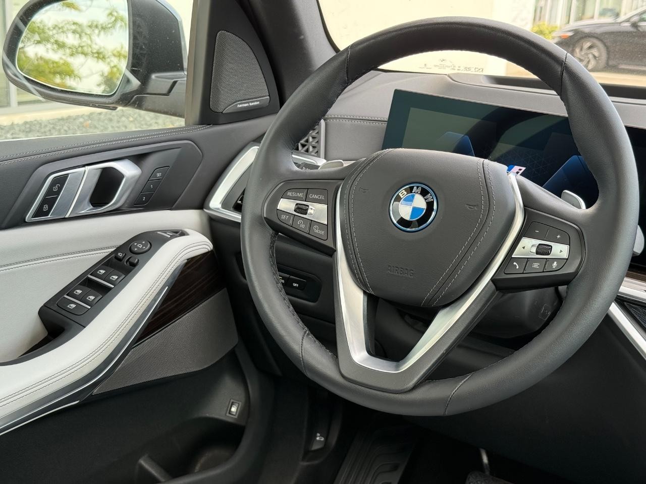 BMW X5 Vehicle Image 13