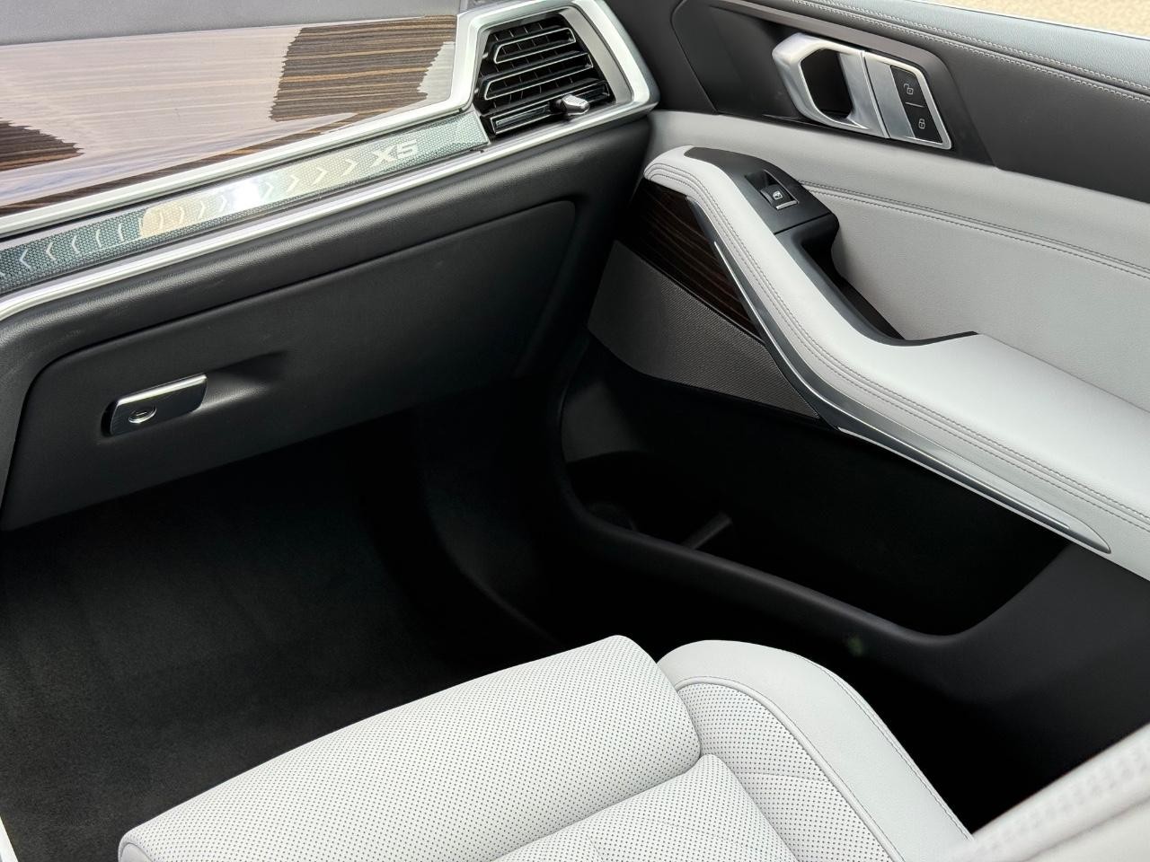 BMW X5 Vehicle Image 14