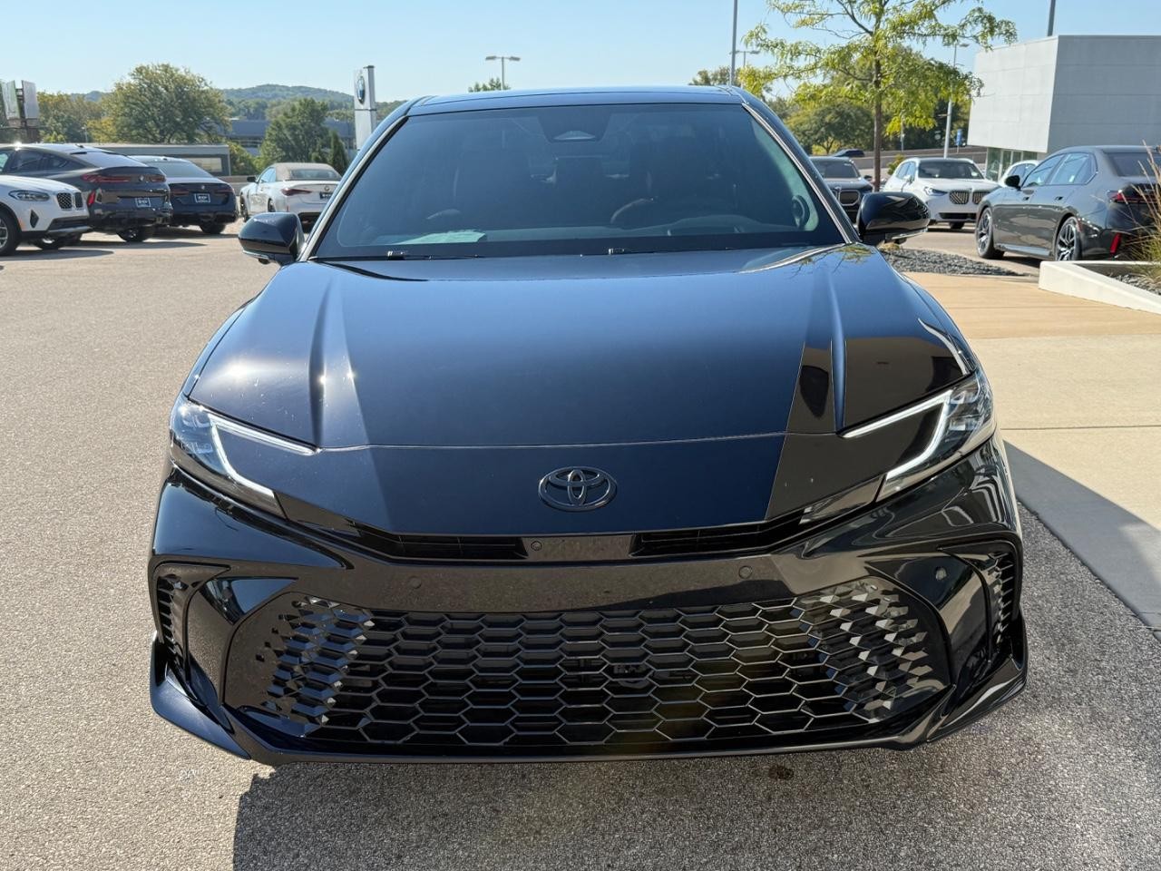 Toyota Camry Vehicle Image 08