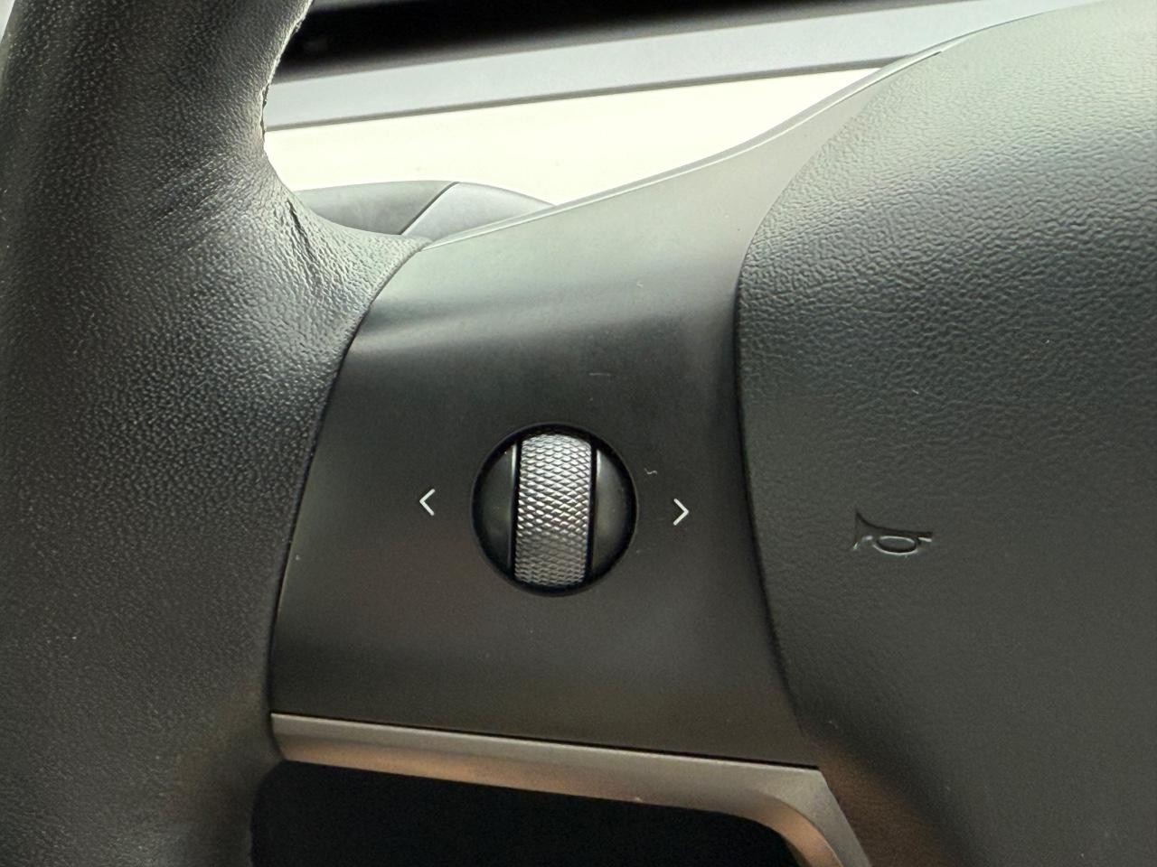 Tesla Model 3 Vehicle Image 14