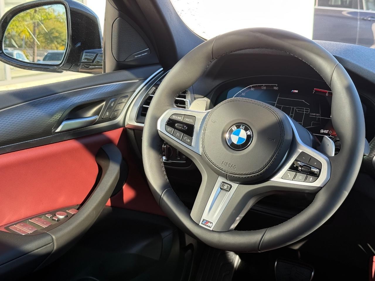 BMW X4 Vehicle Image 09