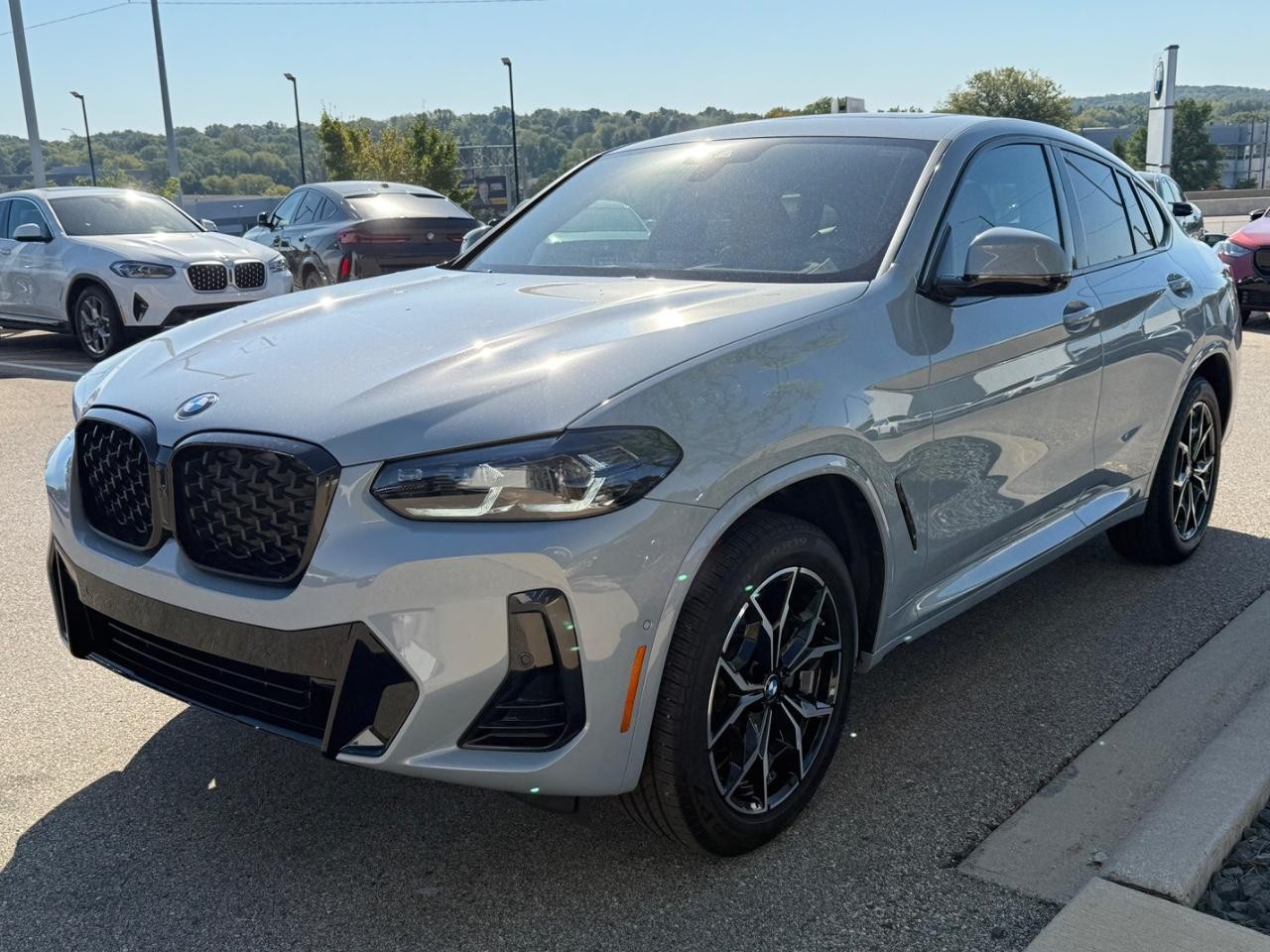 BMW X4 Vehicle Image 08