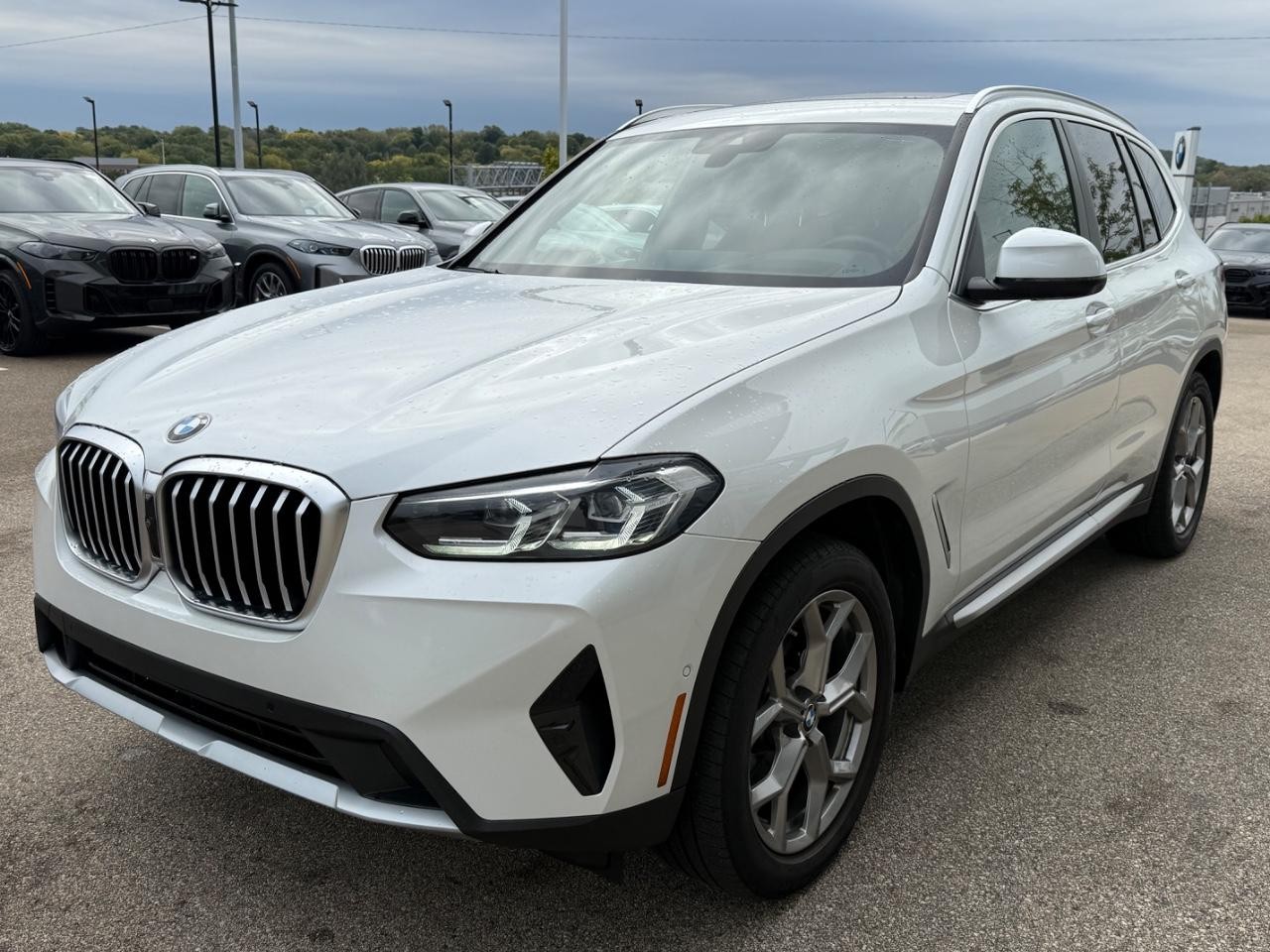 BMW X3 Vehicle Image 08