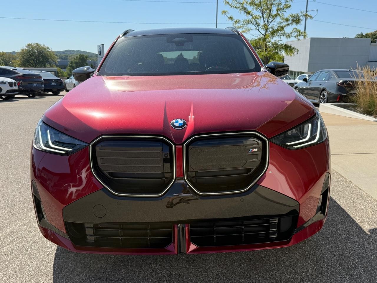 BMW X3 Vehicle Image 08