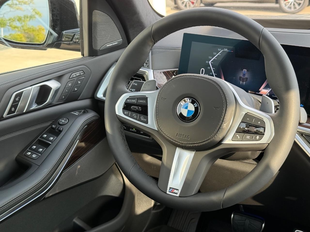 BMW X7 Vehicle Image 10