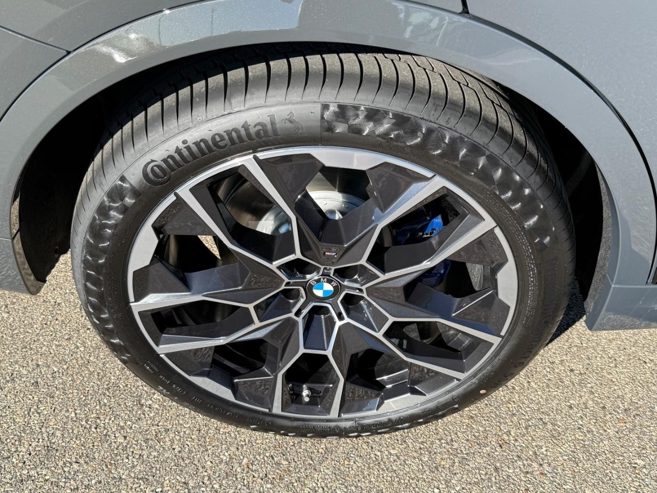 BMW X7 Vehicle Image 04