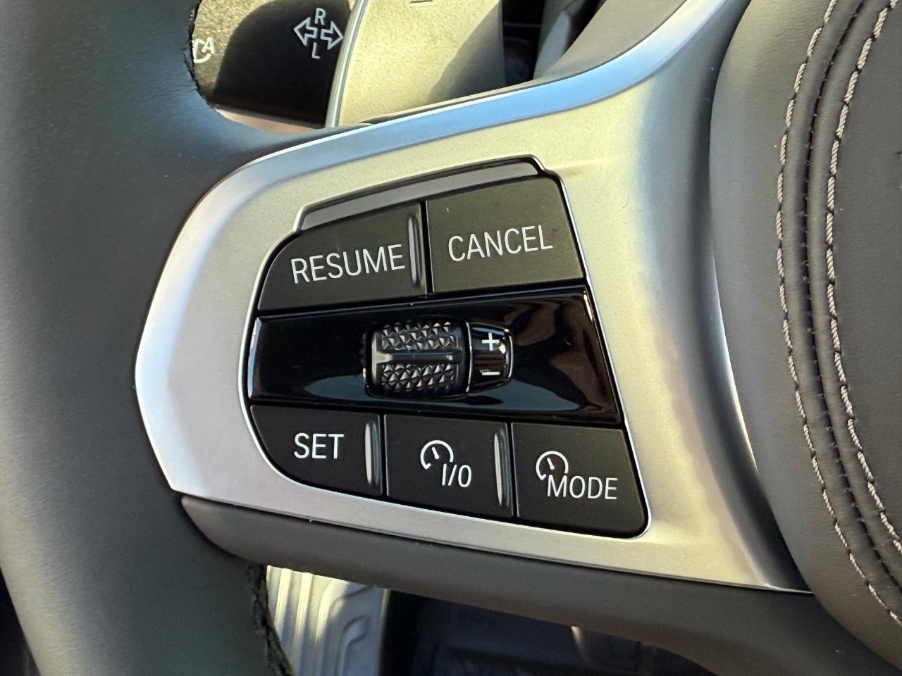 BMW X7 Vehicle Image 12