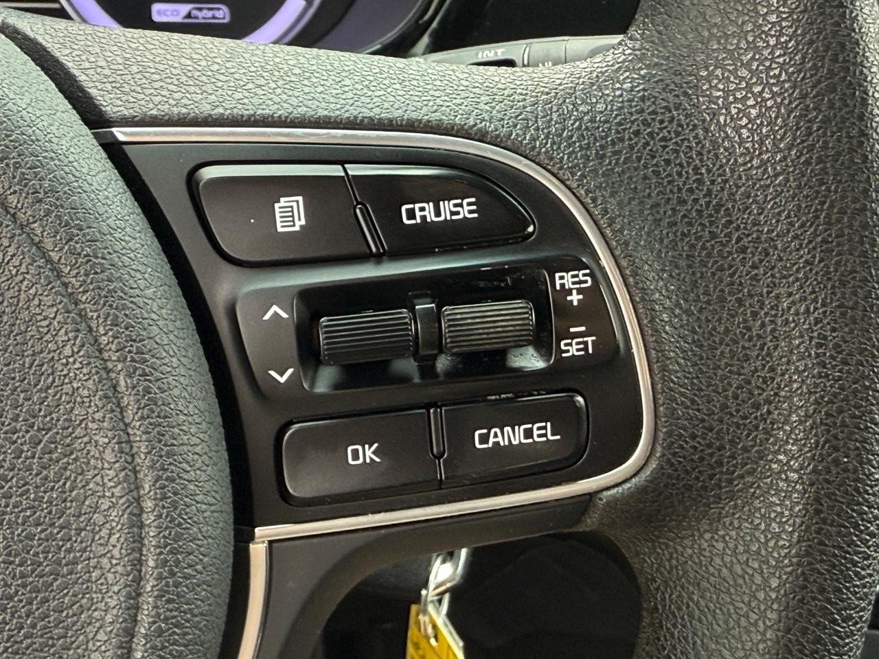 Kia Niro Vehicle Image 16