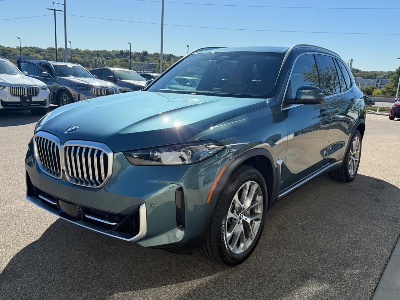 BMW X5 Vehicle Image 07