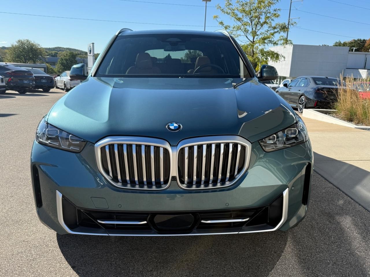 BMW X5 Vehicle Image 08