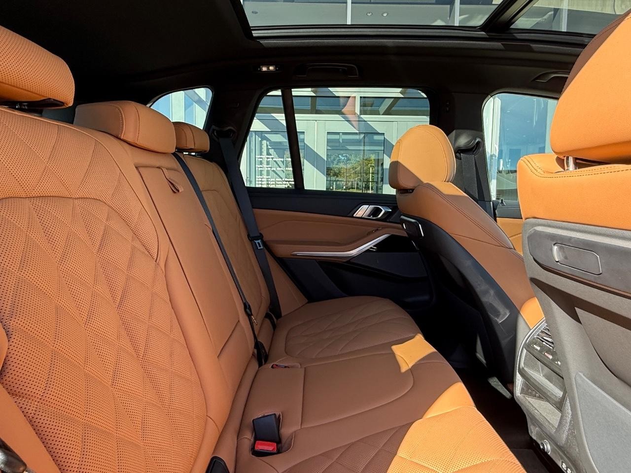 BMW X5 Vehicle Image 09