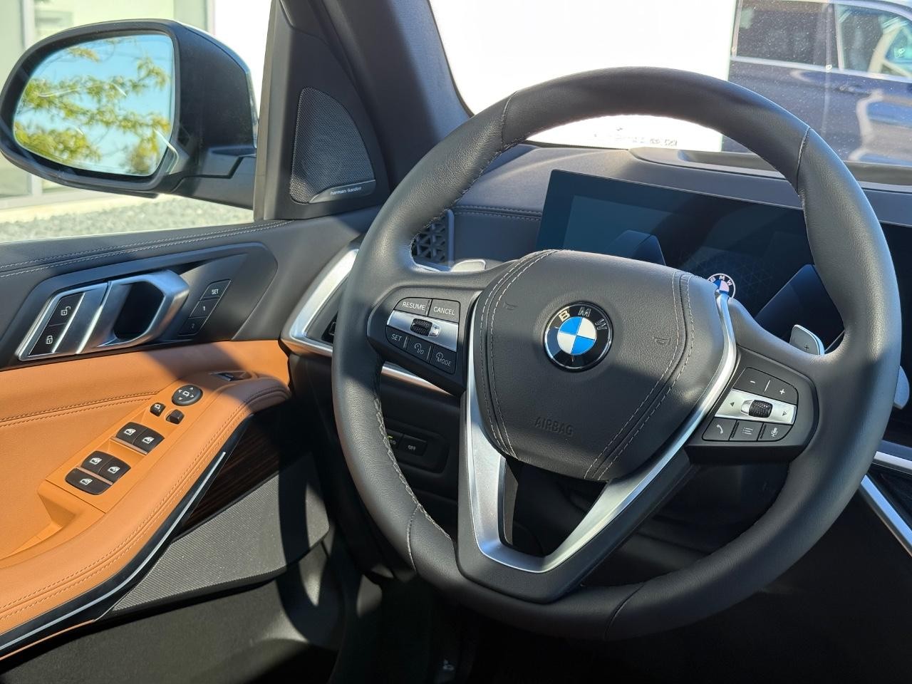 BMW X5 Vehicle Image 13