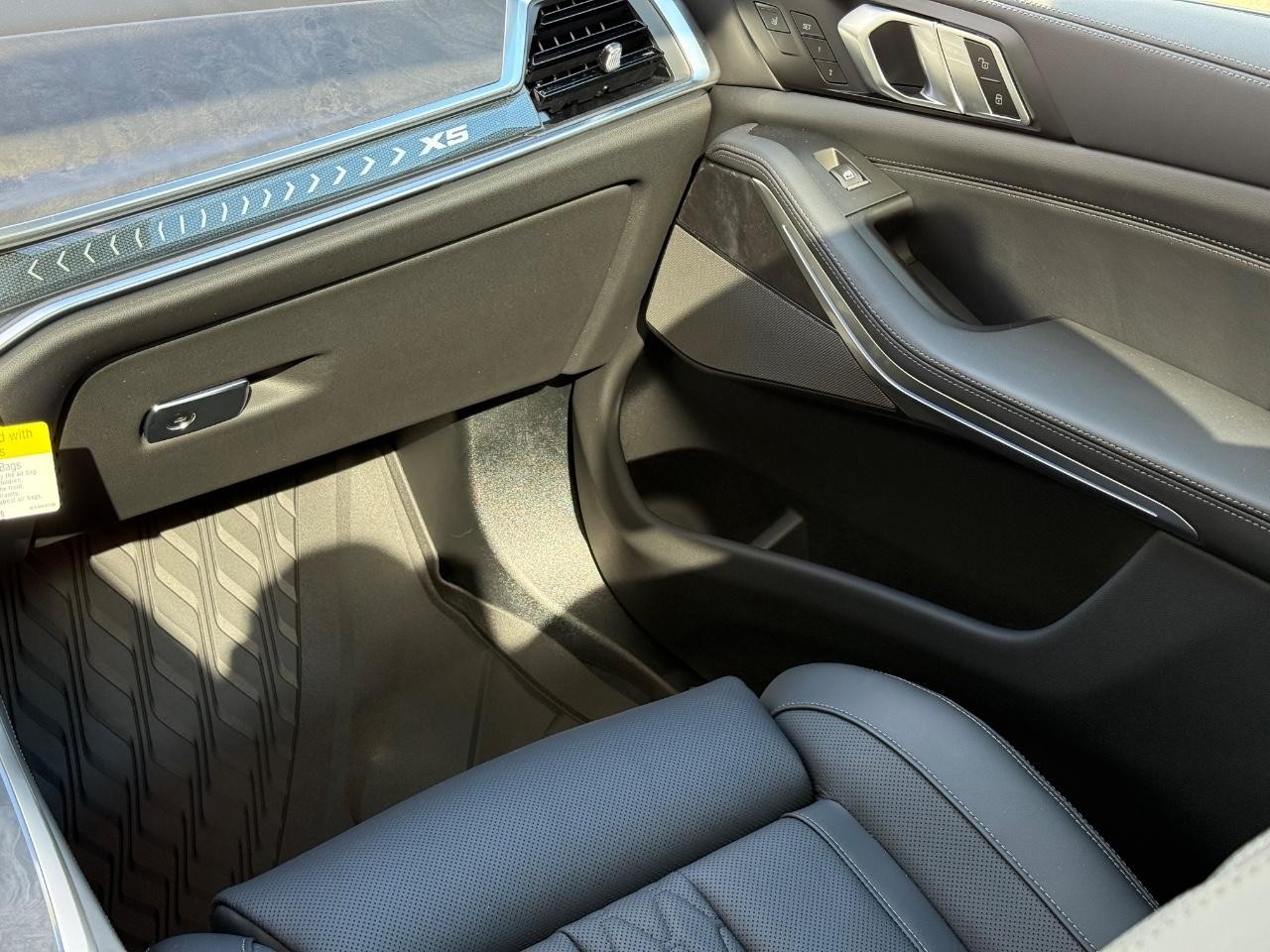 BMW X5 Vehicle Image 10