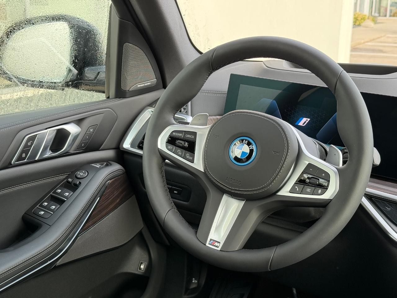 BMW X5 Vehicle Image 09