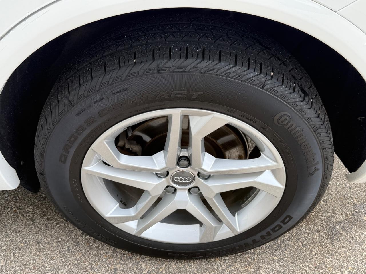 Audi Q5 Vehicle Image 07