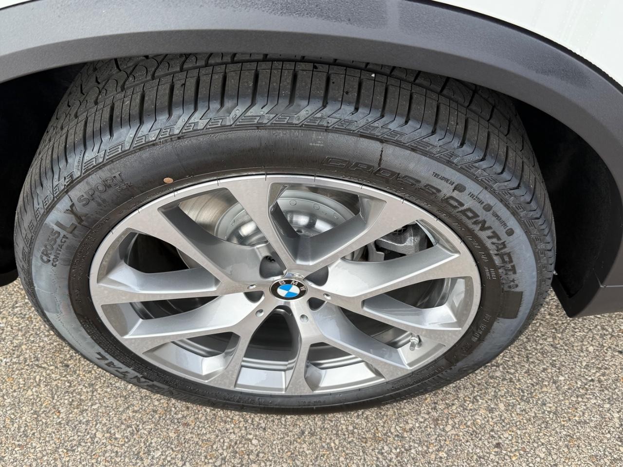 BMW X5 Vehicle Image 04