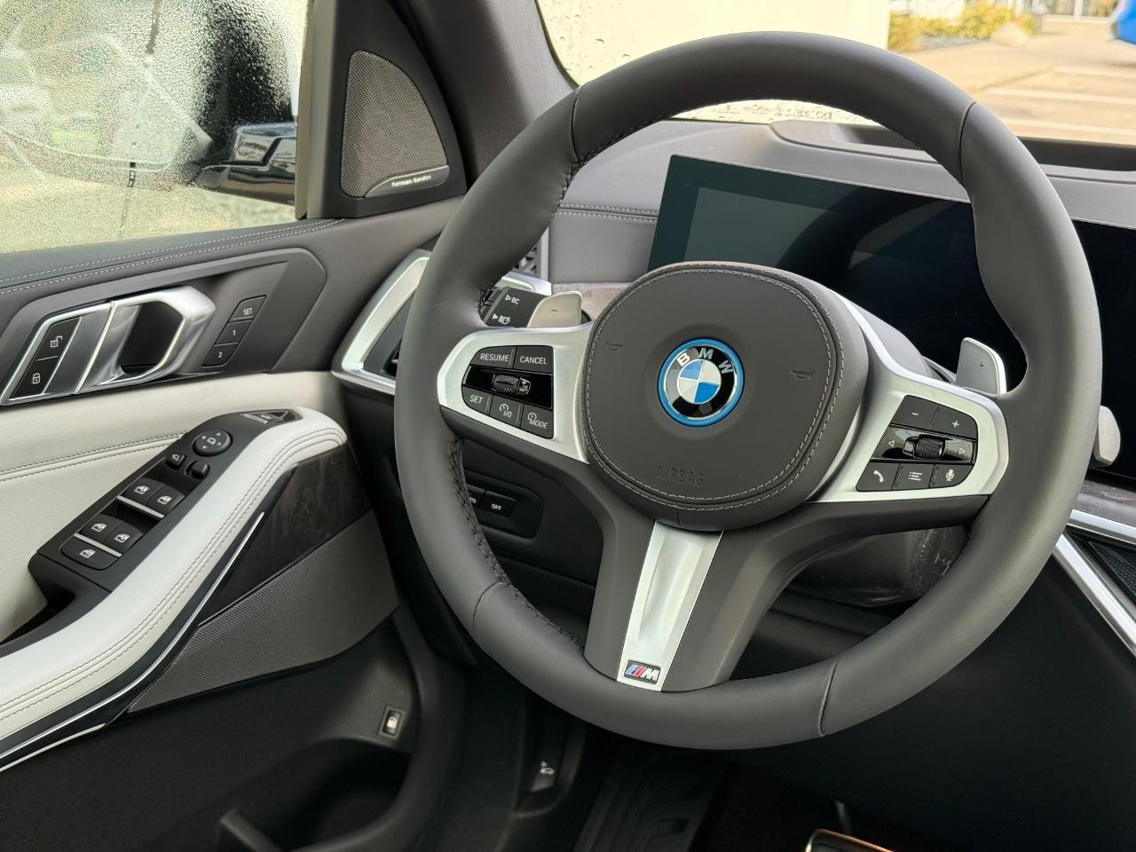 BMW X5 Vehicle Image 09