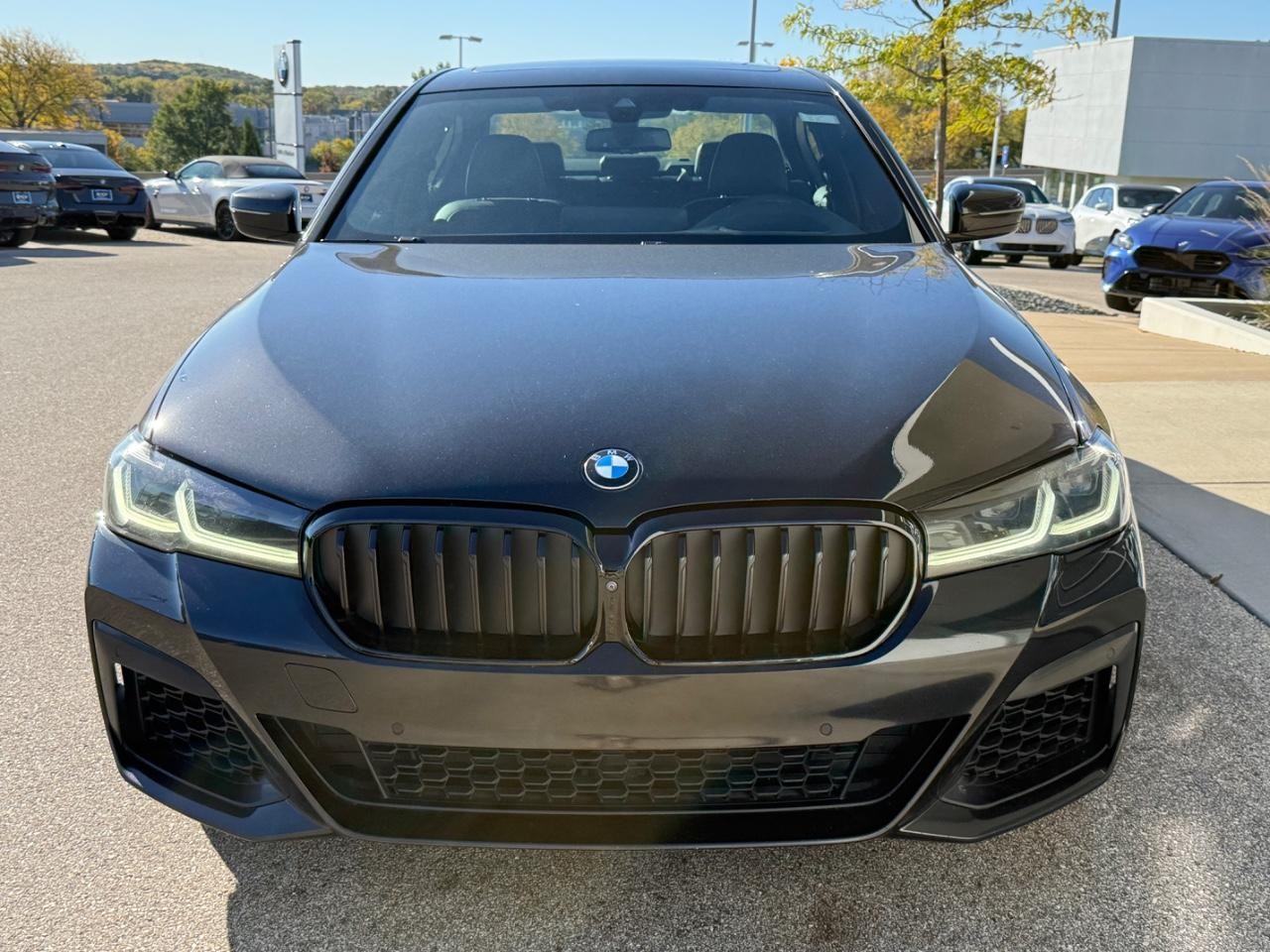 BMW 5 Series Vehicle Image 09