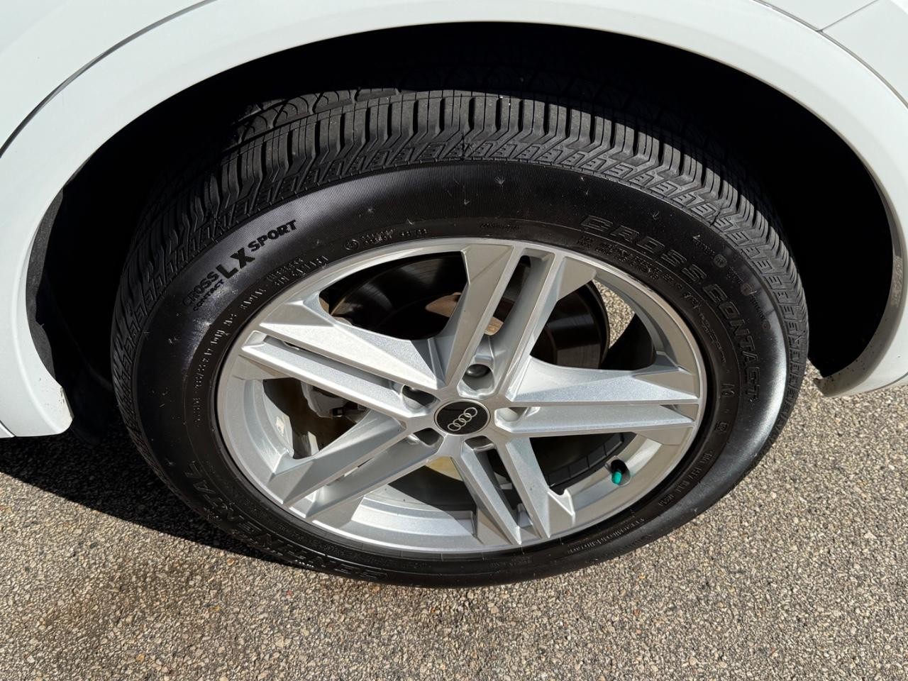 Audi Q5 Vehicle Image 07