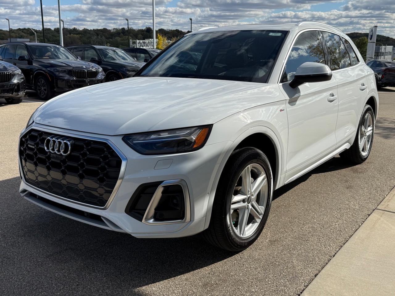 Audi Q5 Vehicle Image 08