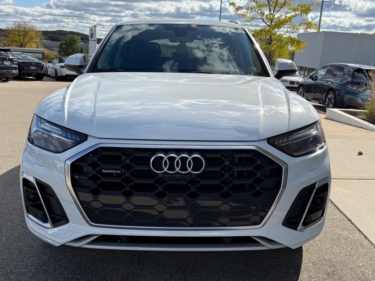 Audi Q5 Vehicle Image 09