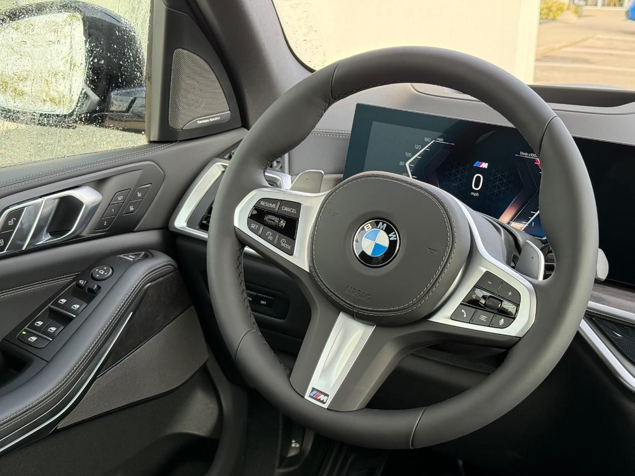 BMW X5 Vehicle Image 09