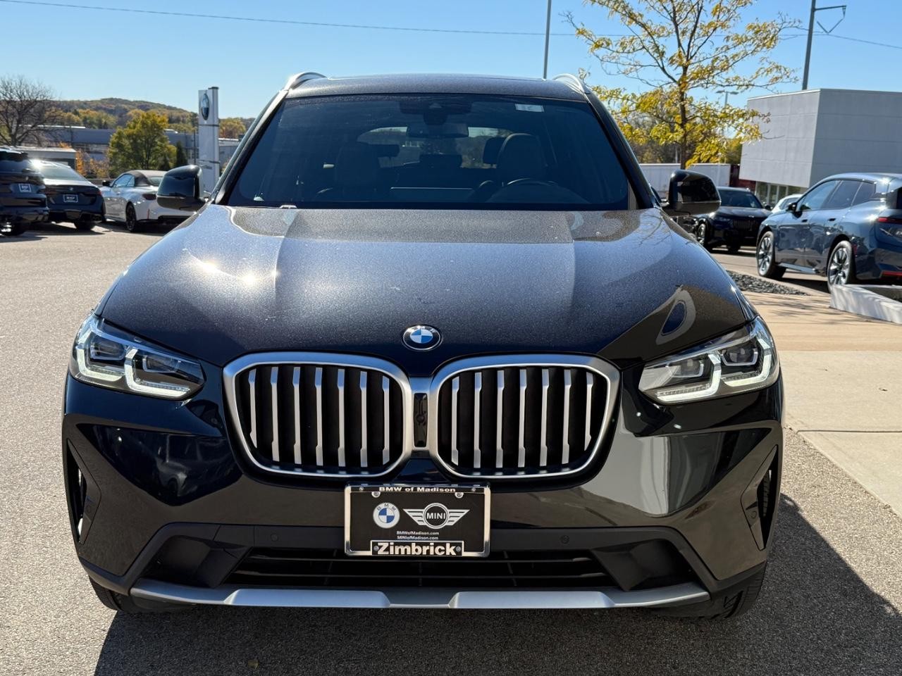 BMW X3 Vehicle Image 09