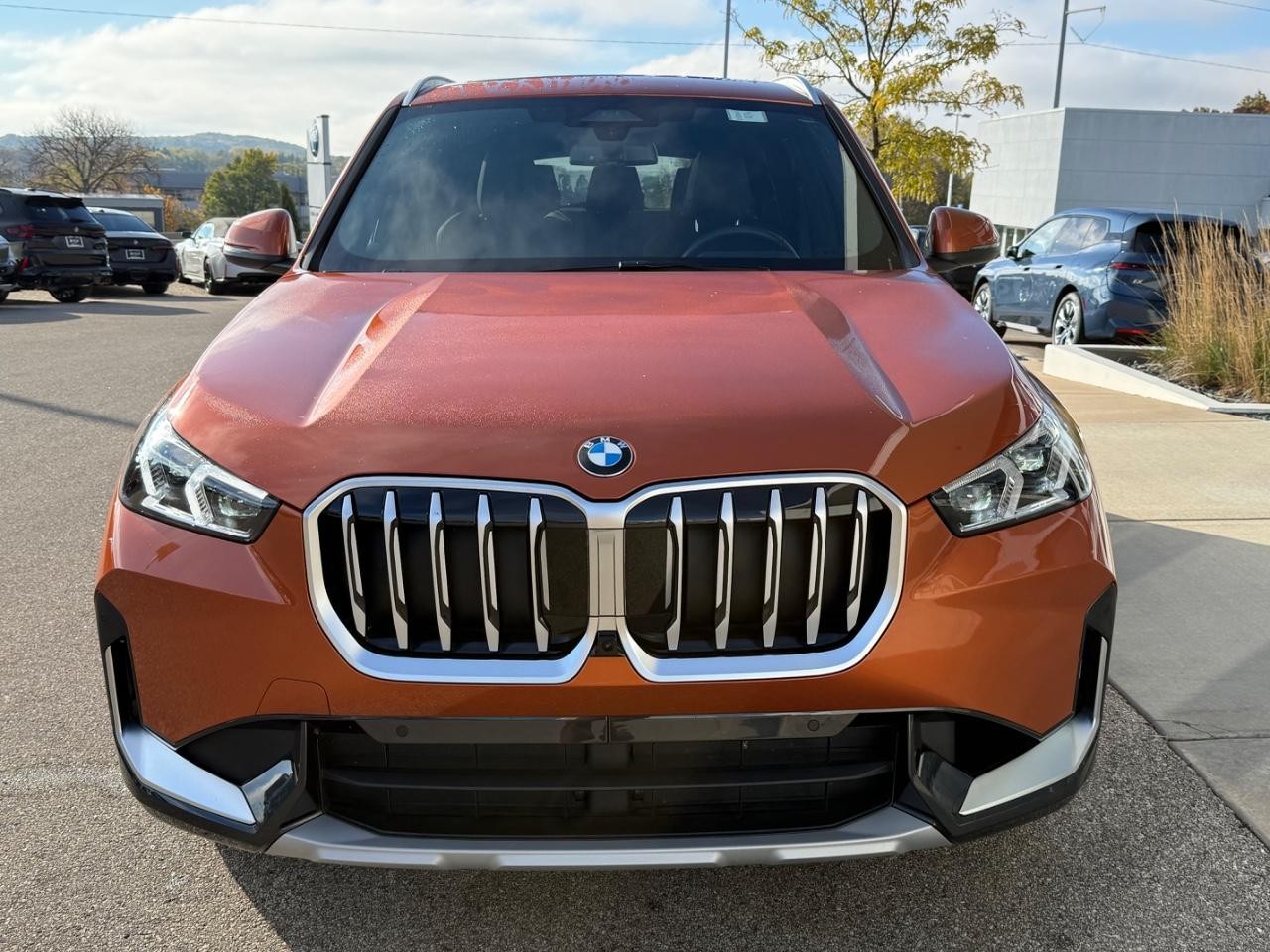 BMW X1 Vehicle Image 09