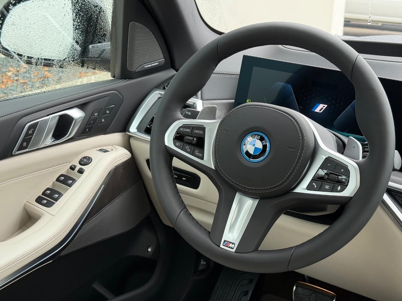 BMW X5 Vehicle Image 09