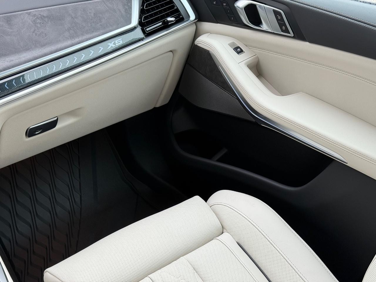 BMW X5 Vehicle Image 10