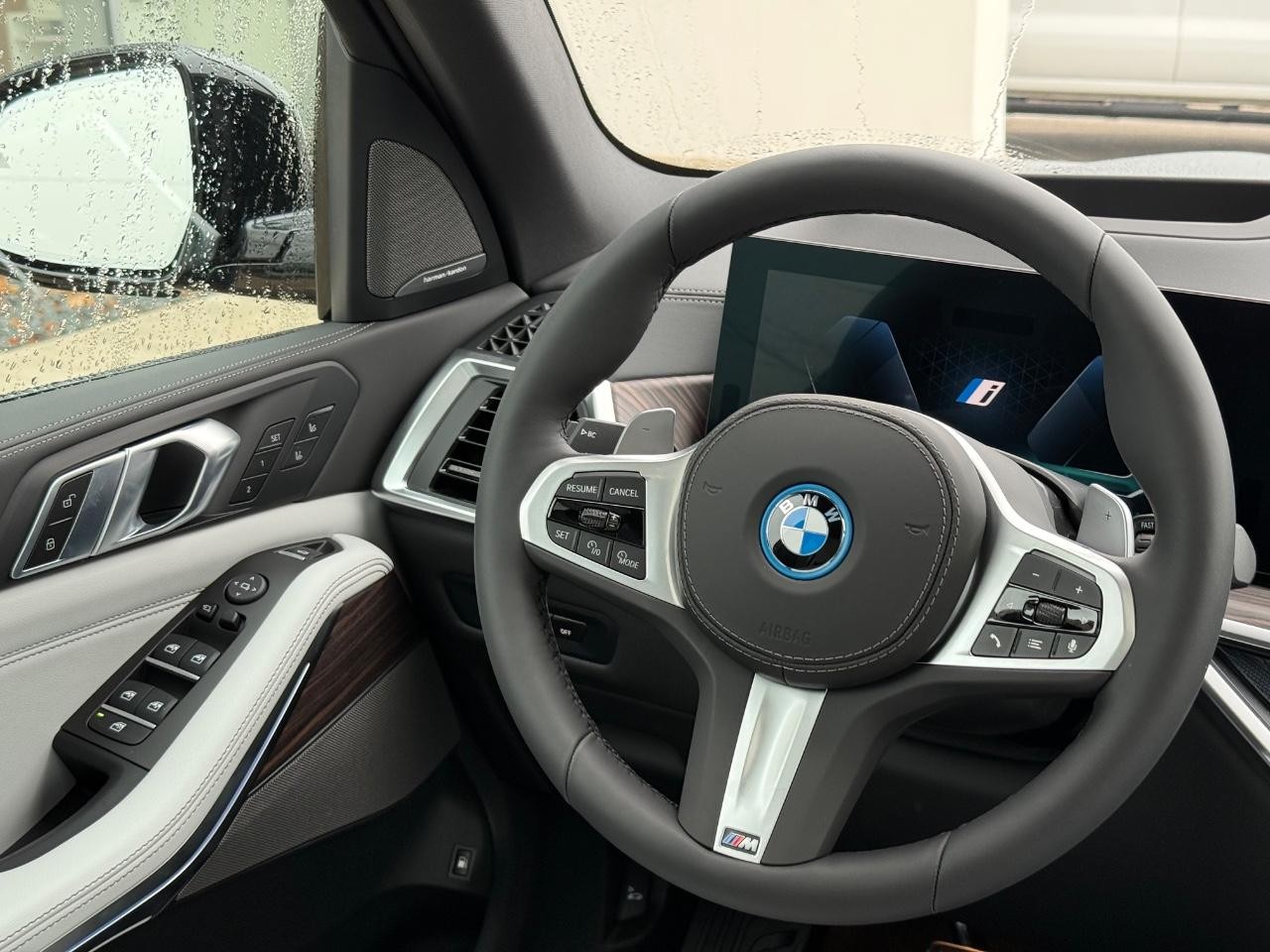 BMW X5 Vehicle Image 09