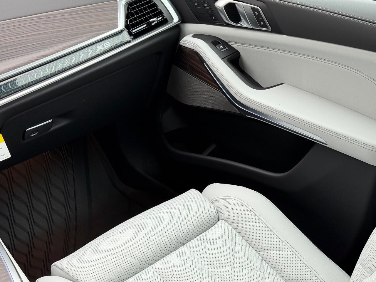 BMW X5 Vehicle Image 10