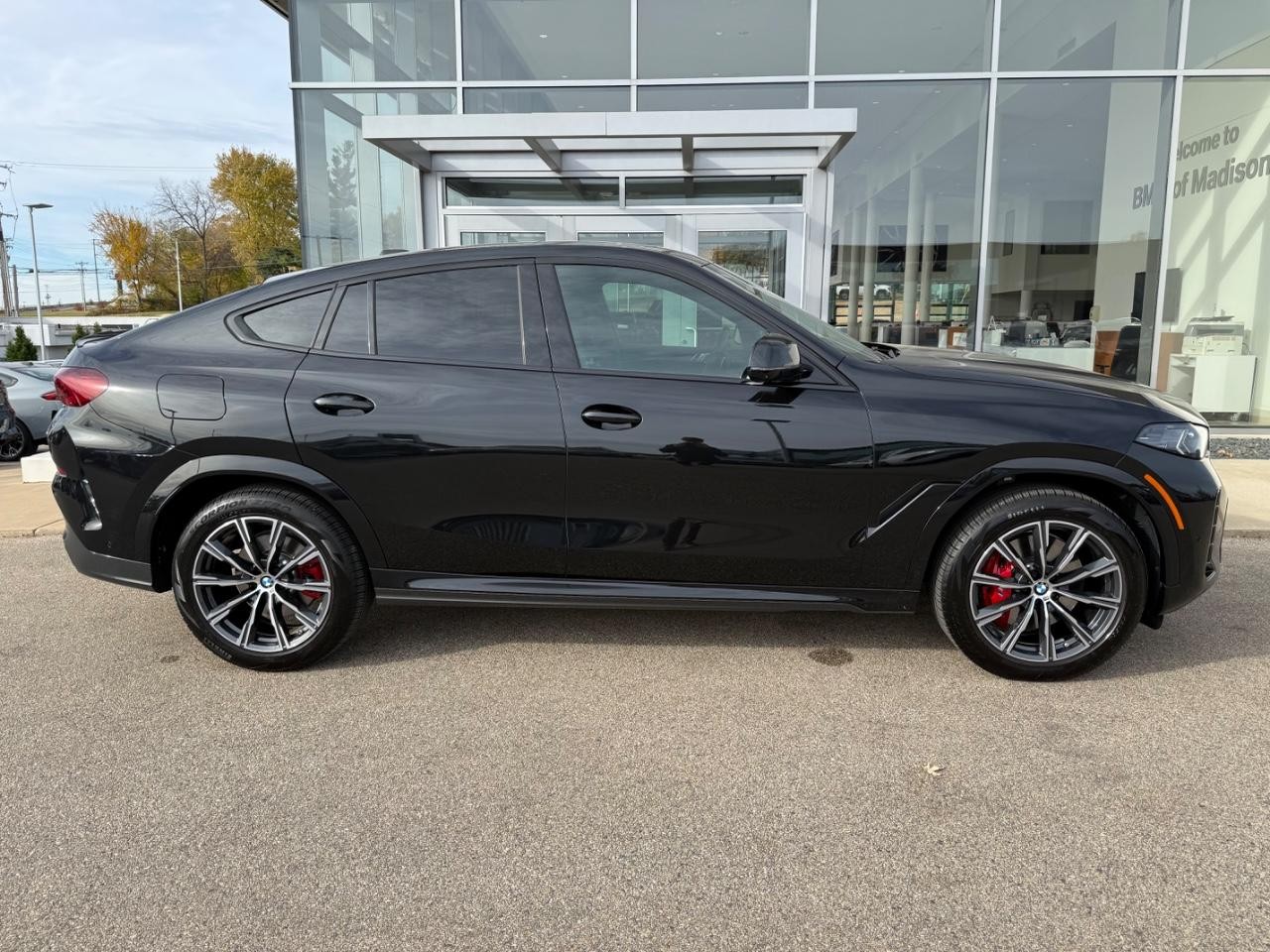 BMW X6 Vehicle Image 02